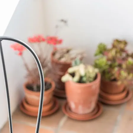 Apartment Guestready - Cactus Balcony - Free Private Parking Porto